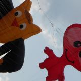 Drachenfest_2011_026