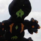 Drachenfest_2011_028