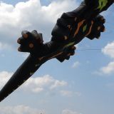 Drachenfest_2011_037