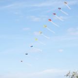 Drachenfest_2012-0060