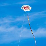 Drachenfest_2012-0076