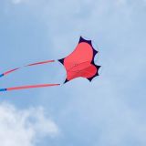 Drachenfest_2012-0090