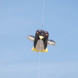 Drachenfest_2012-0098