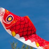 Drachenfest_2012-0119