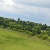 Gewerbeschau_2014_210