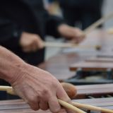 seebrueckenfest-2015-22