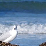 moeve2_von_jochenruser