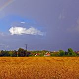 Regenbogen