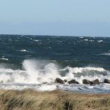 20080722_1110444376_img_0170