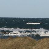 20080722_1848109974_img_0169